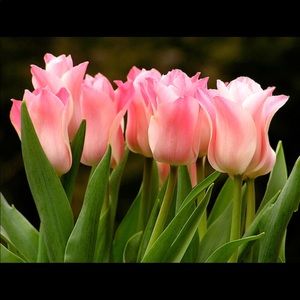 Meet your Posher, Nichole